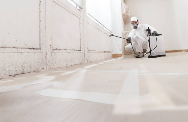 Trusted Mold Inspection service in Reading, MI - WQB Mold Removal