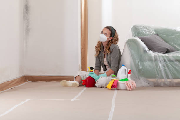 Reliable Mold Inspection contractor in Reading, MI by WQB Mold Removal
